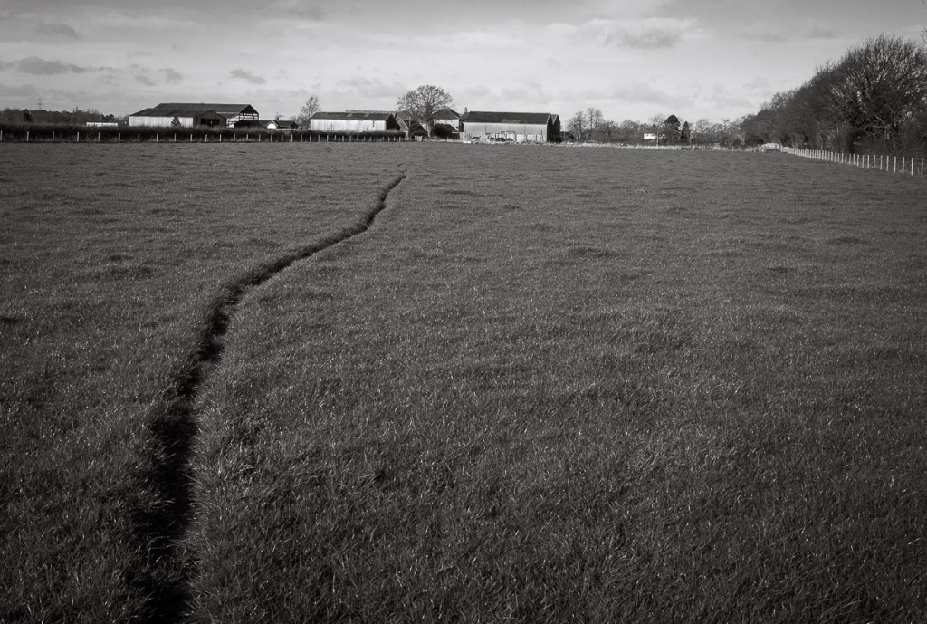 Field Track