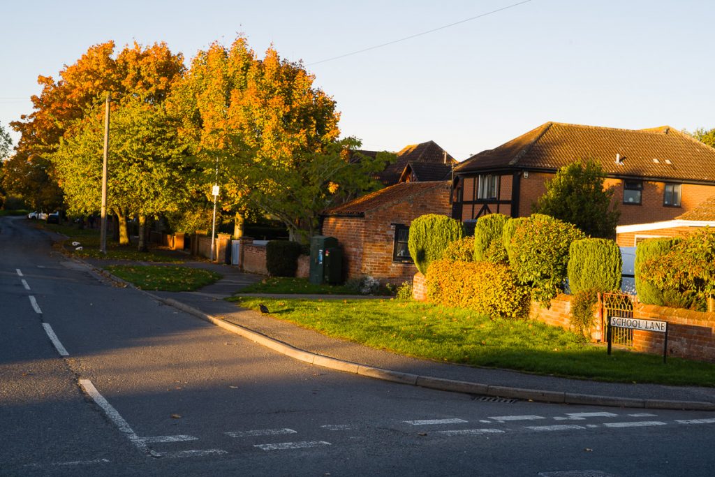 Village lane with modern houses on one side.  Line of trees by the road, turning orange in the autumn light.