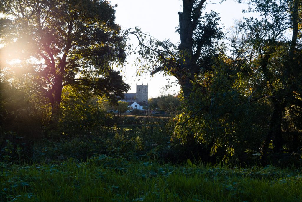 Trees on the bank, the sun coming through trees and the church in the background.
