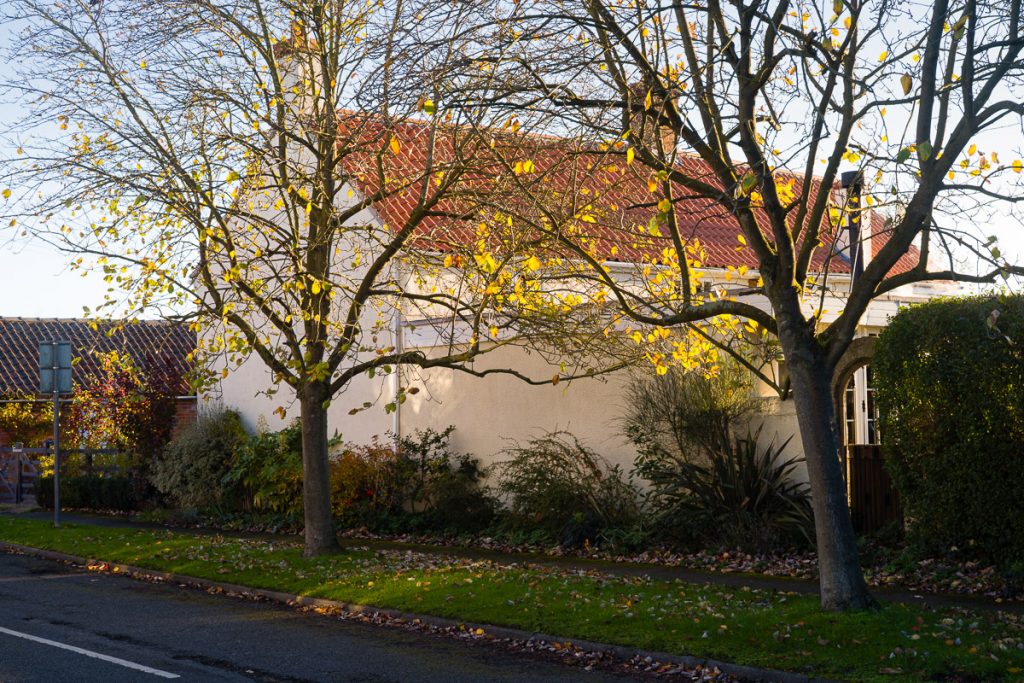 Cream painted house with a red roof,  two small trees loosing their leaves in the foreground.