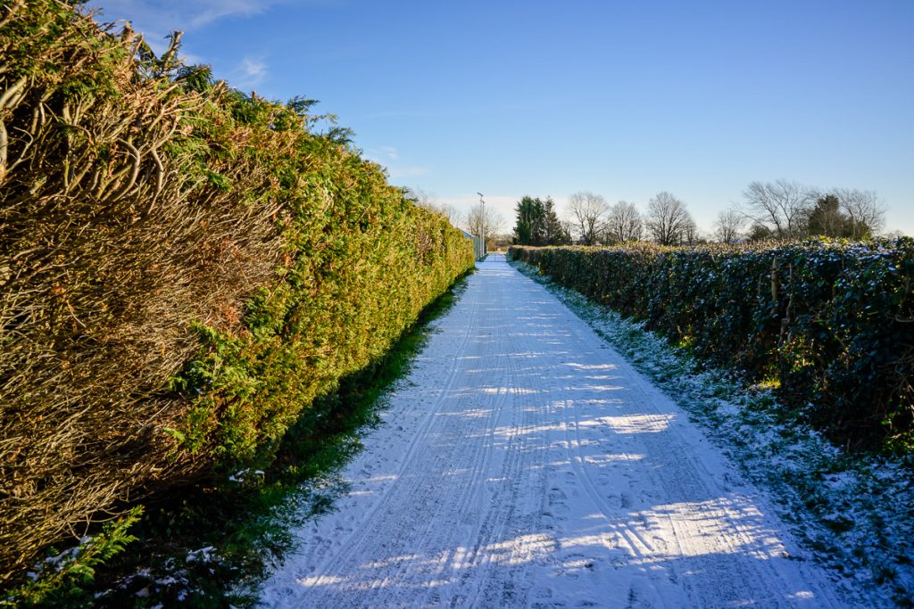 Snow covered lane, with high hedges on each side. There are trees in the distance and the sky is a bright blue.