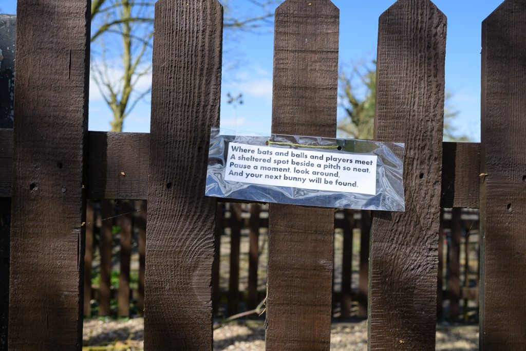 Where bats and balls and players meet. A shelter spot beside a pitch so neat.  Pause a moment, look around.  And your next bunny will be found.