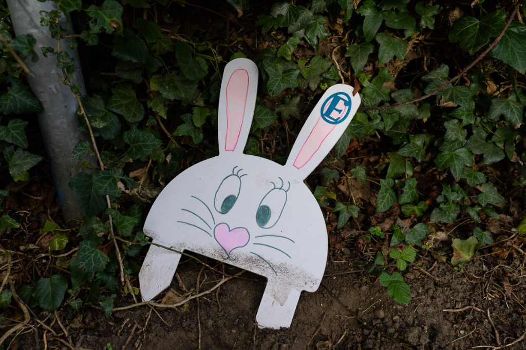and another cardboard white bunny.