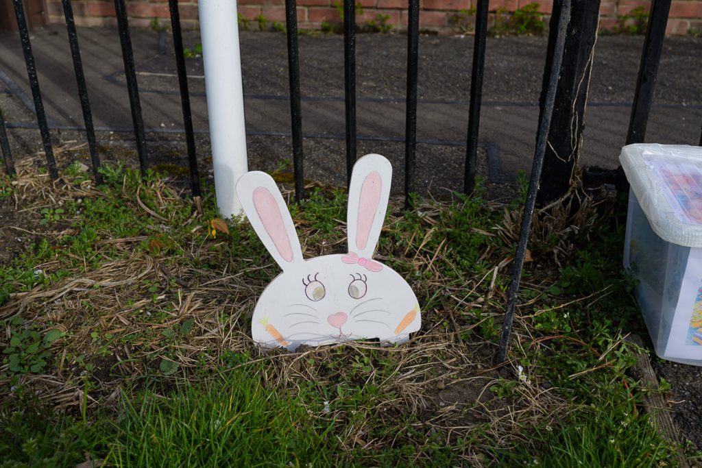 The first Easter White Rabbit in front of the fence by the village school
