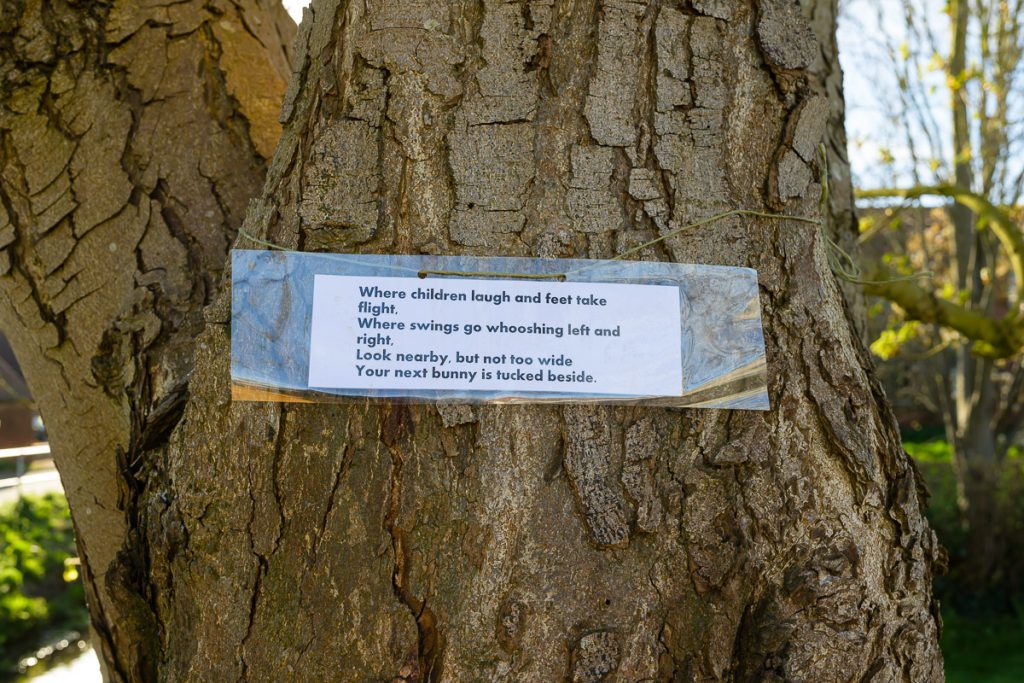 Where children laugh and feet take flight.  Where swings go whooshing left and right.  Look near, but not too wide.   Your next bunny is tucked beside.