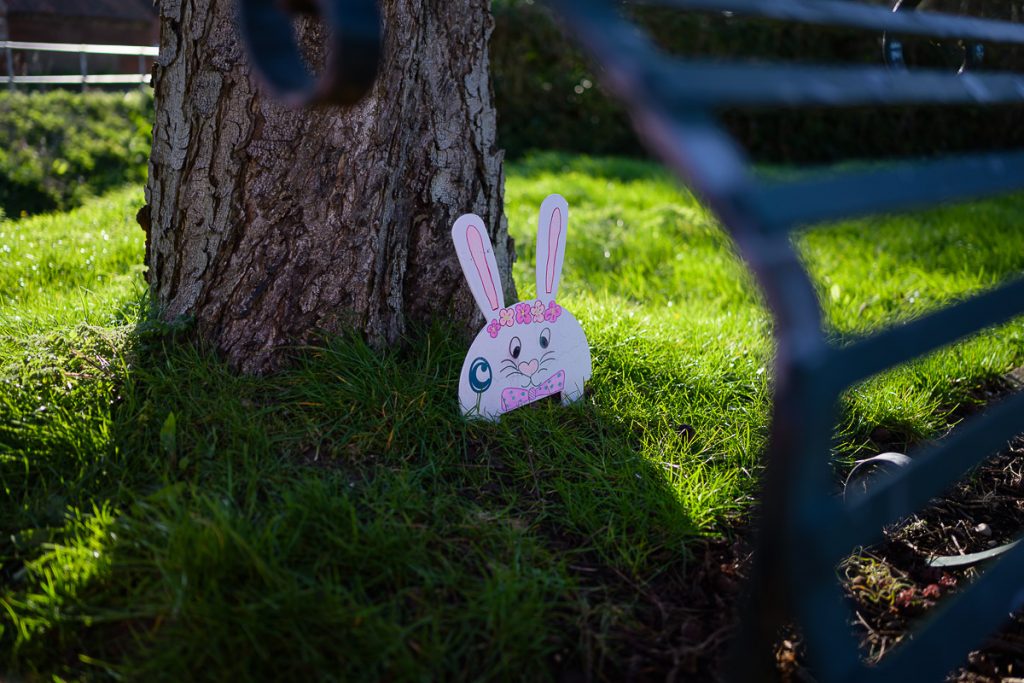 White cardboard bunny next to the conker tree.