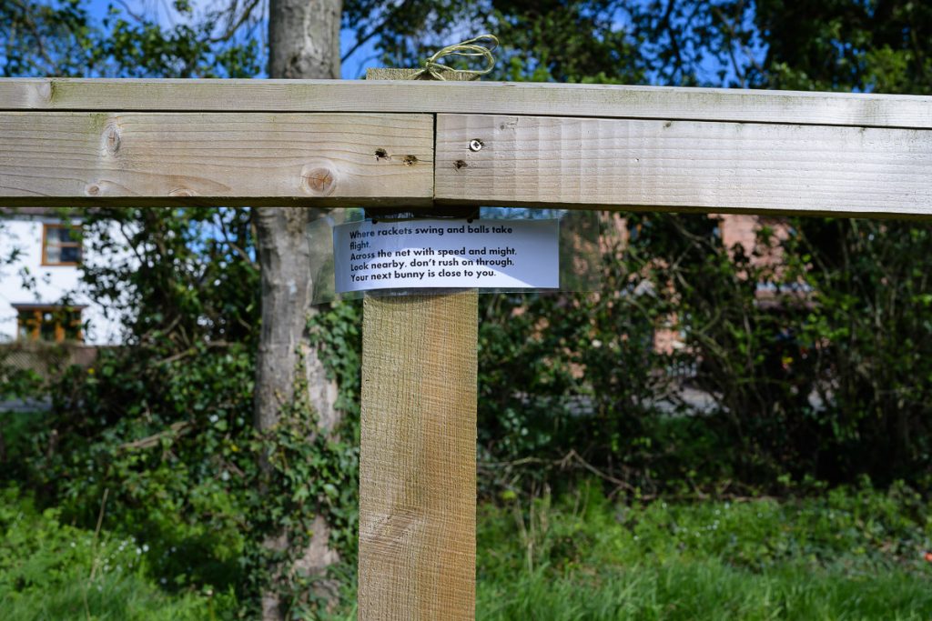 Where rackets swing, and balls take flight.  Across the net with speed and might.  Look nearby, don't rush on through.  Your next bunny is close to you.