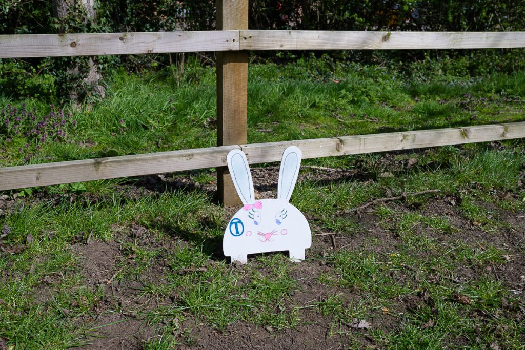 White rabbit near the play park