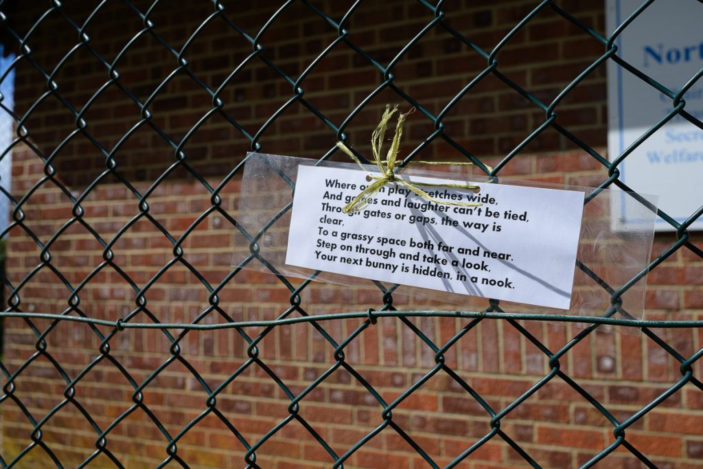Where open play stretches wide, games and laughter can be tied.  Through gates and gaps, the way is clear.  To a grassy space both far and near.  Step on through and take a look.   Your next bunny is hidden in a nook.