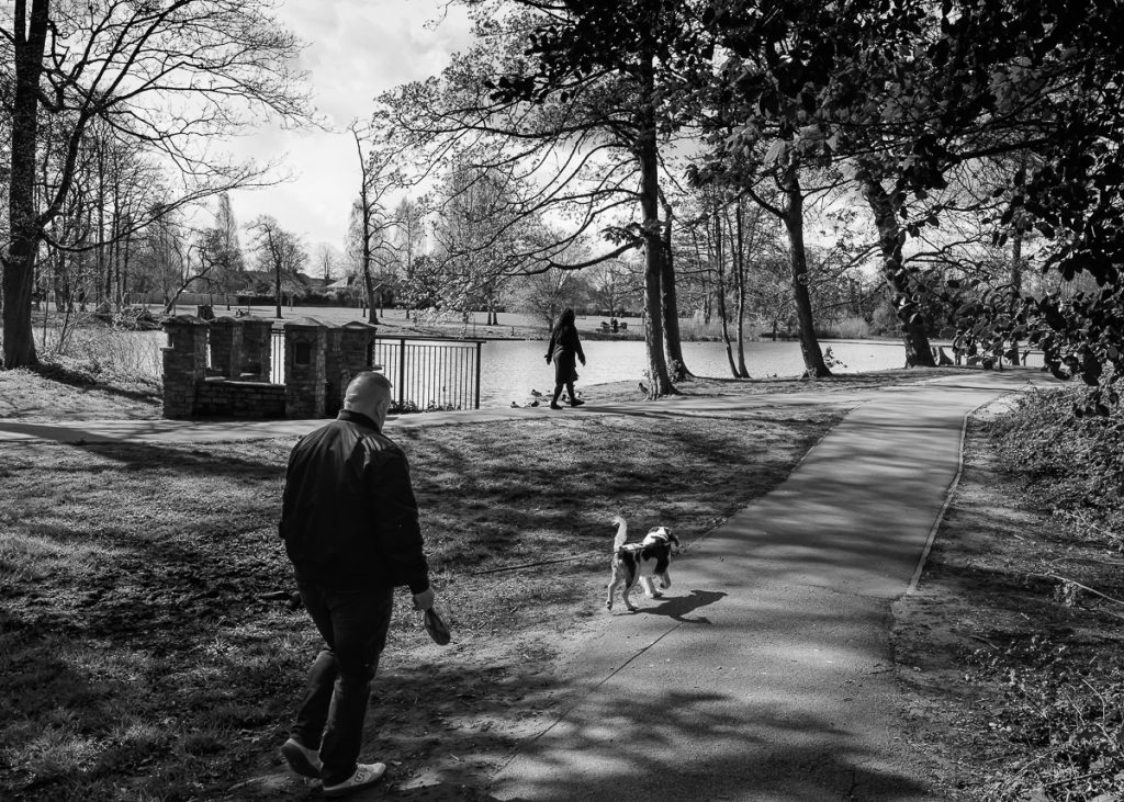 Black and White photography of a park in Lincoln.  A man is walking his dog towards a large lake.