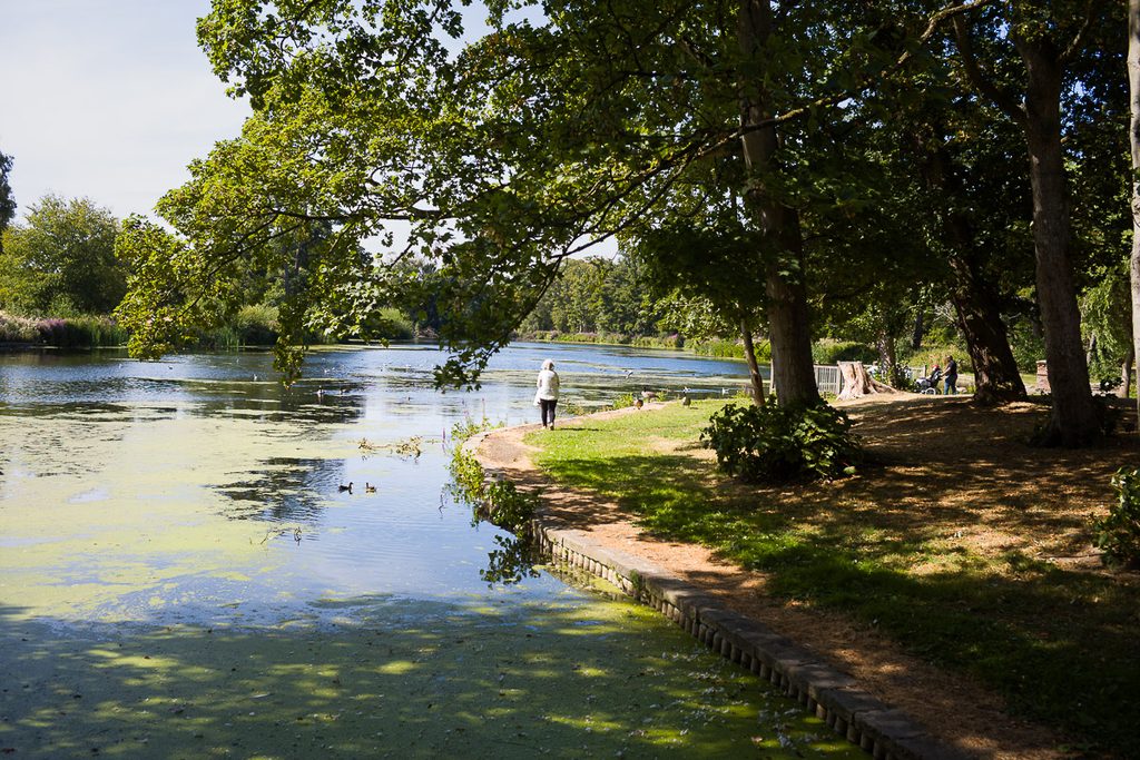 A scenic view of Boutham Park Lake.  The lake is blue with some green algae.  A path is shown on the right with large trees by it and a woman can be seen walking away.