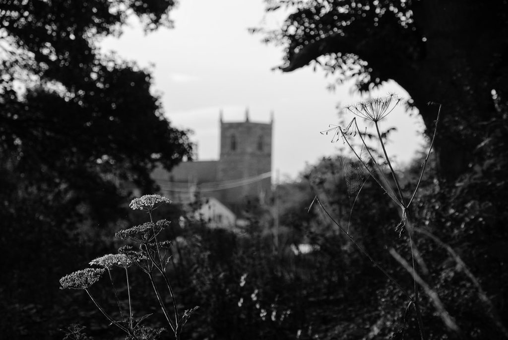 Plants by the river bank in closeup, and an old Norman church can be seen in the background.