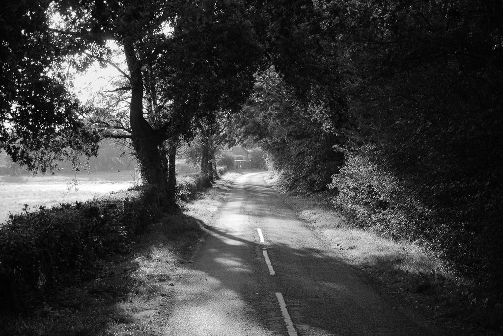 Country tree lined lane leading back to a traditional english village.
